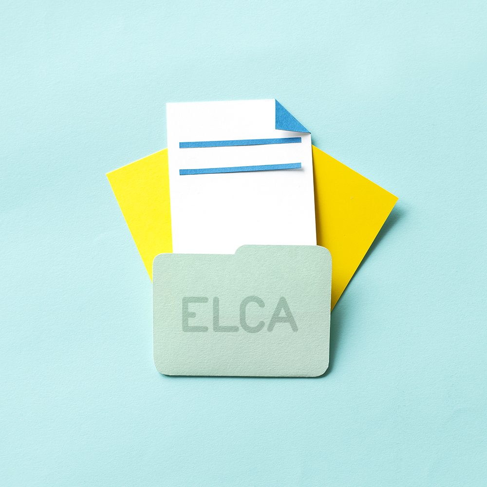 Elca gestionale